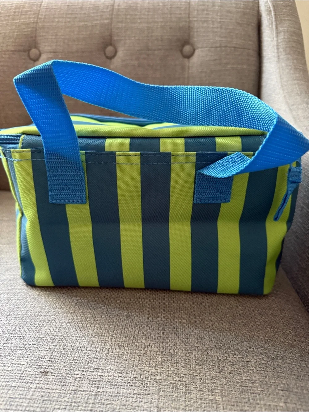 Striped Mini Insulated Bag in Blue & Green